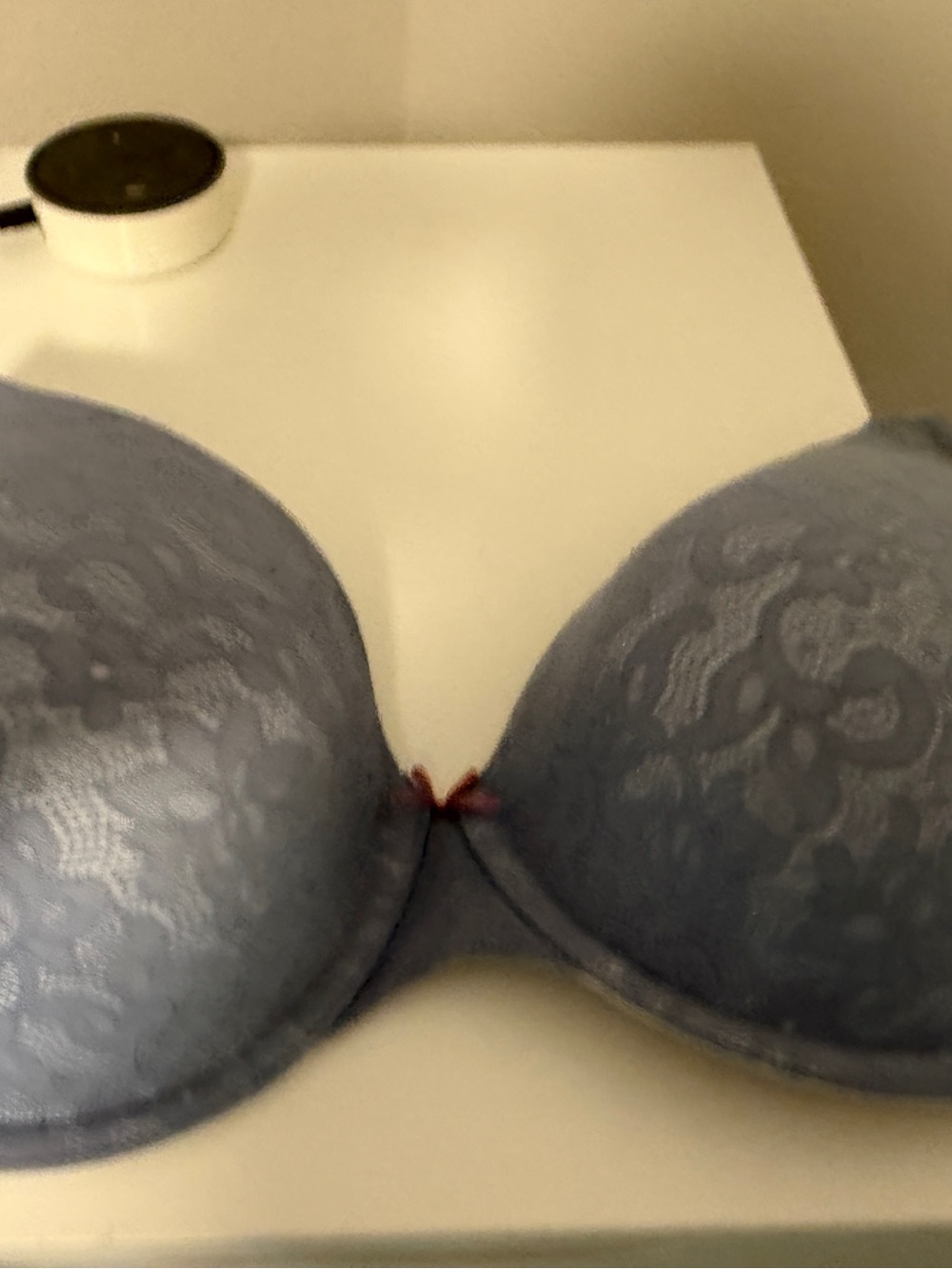 Cacique Lace Push-Up T-Shirt Bra in Slate Blue with Red Bow